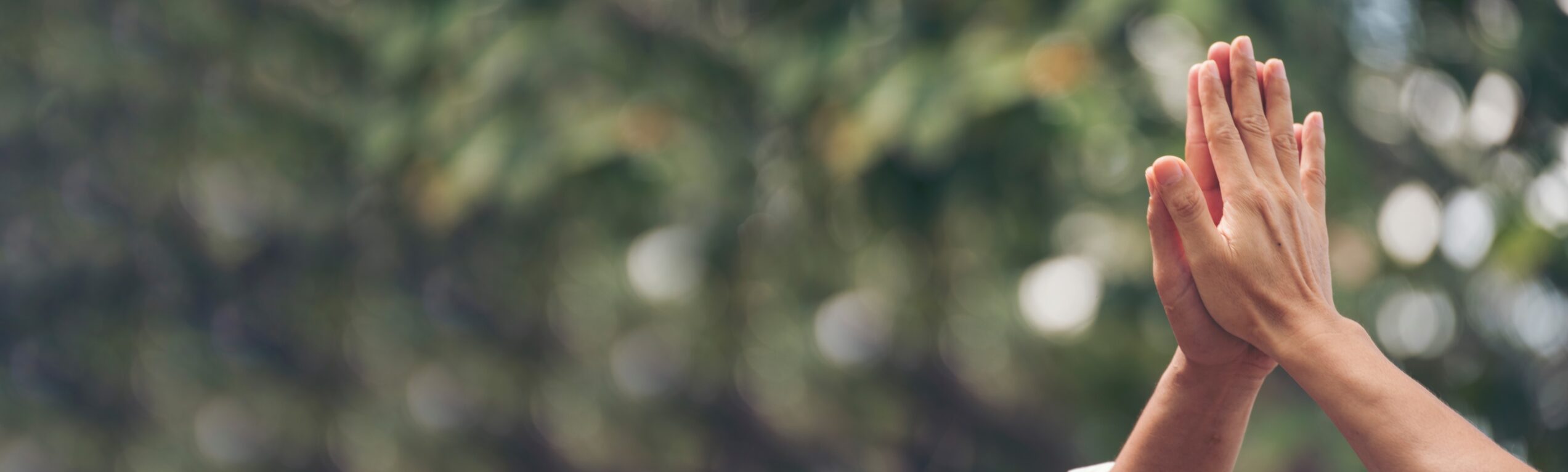 Directories – hands image (2)