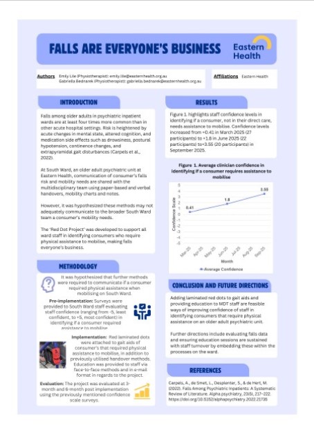 Falls are everyones business poster image 2025